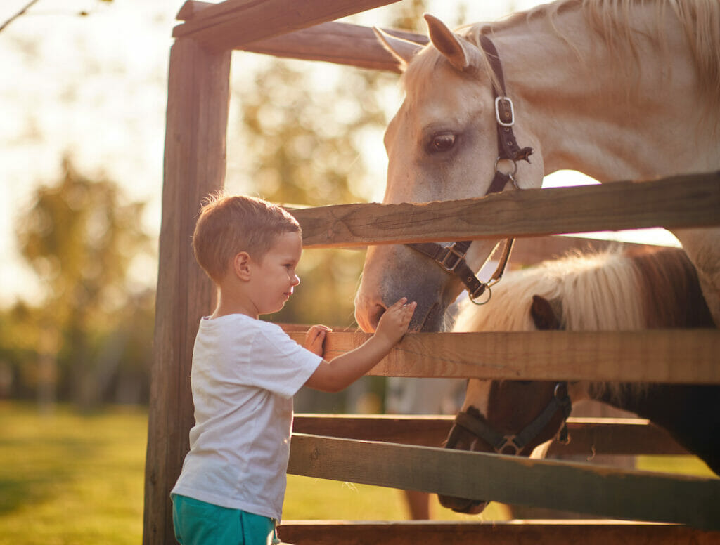 horse farm in Clarksville, Maryland