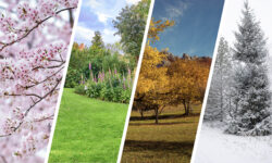 seasonal moving tips for spring, summer, fall, winter