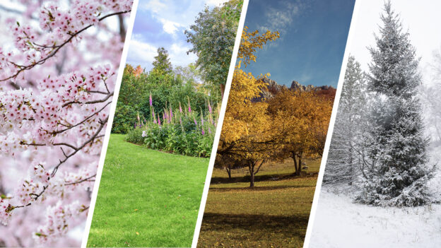 seasonal moving tips for spring, summer, fall, winter