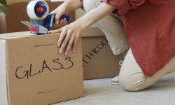 moving company insurance options
